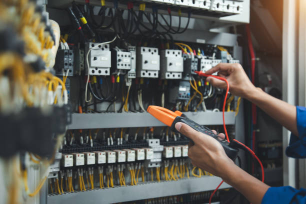 Best Electric Panel Repair  in Danbury, TX